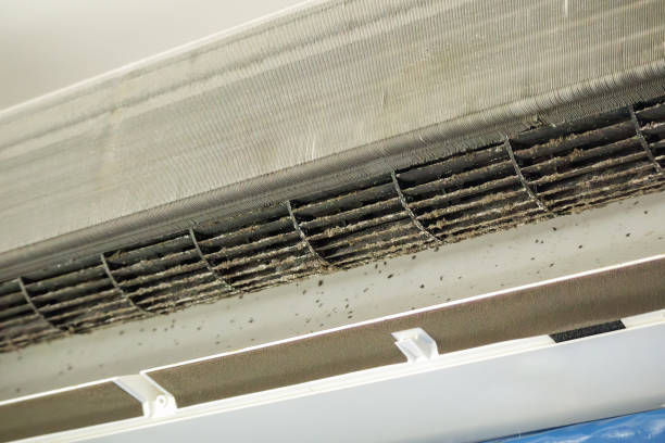 Best Ductwork Cleaning Services  in New Ellenton, SC